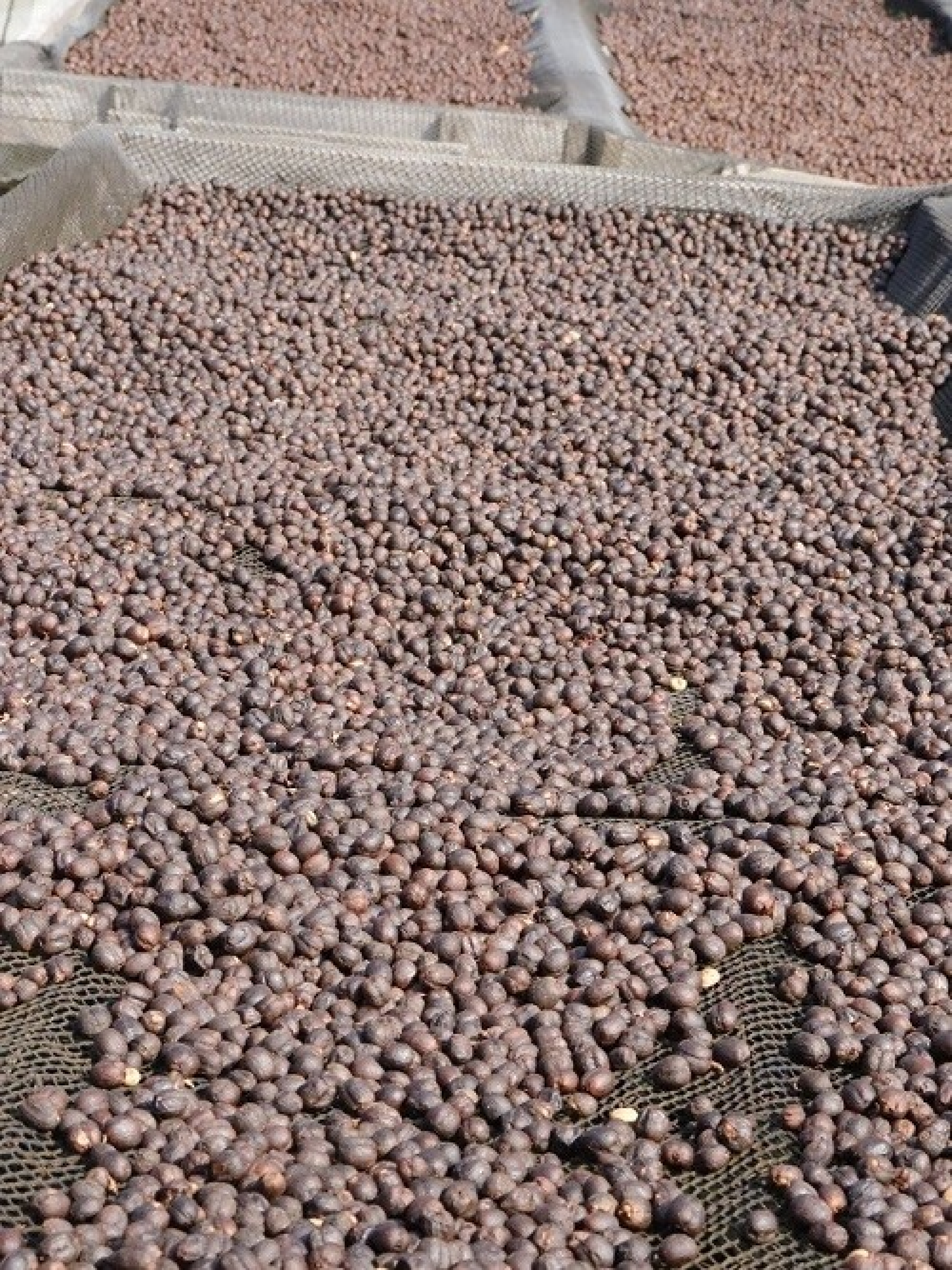Preview: Finca Monte Cielo